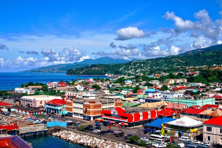 dominica-volgog