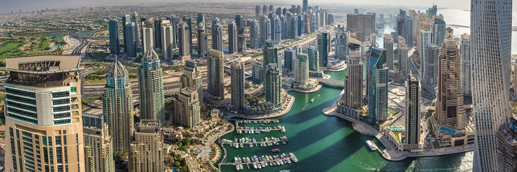 immigrant-uae
