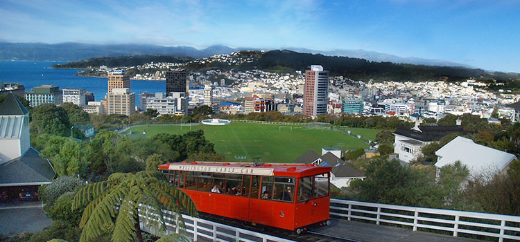 expat-Zealand1