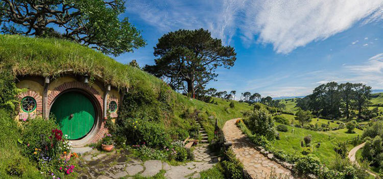 expat-Zealand2