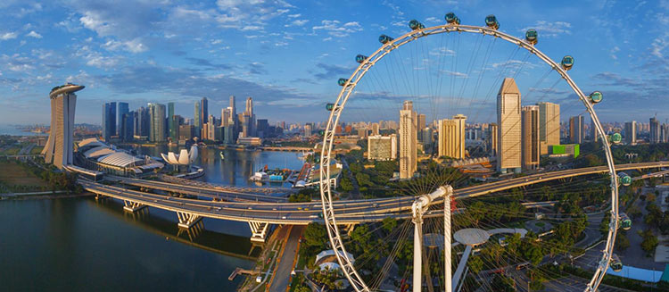 Singapore-companies