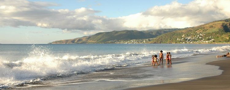 offshore company Dominica 3