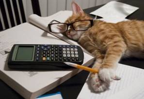 taxes-cats