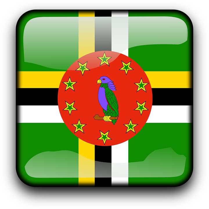 dominica offshore company 1