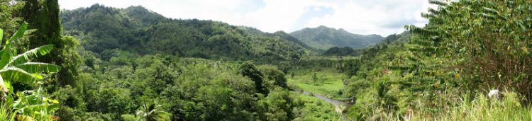 dominica offshore company 2
