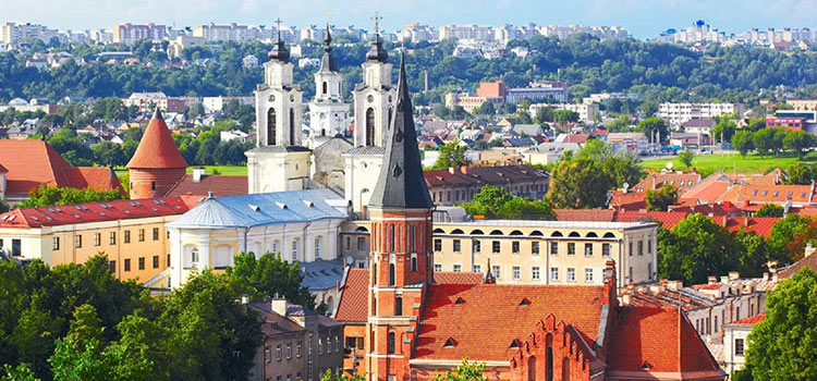ВНЖ в Литве за инвестиции