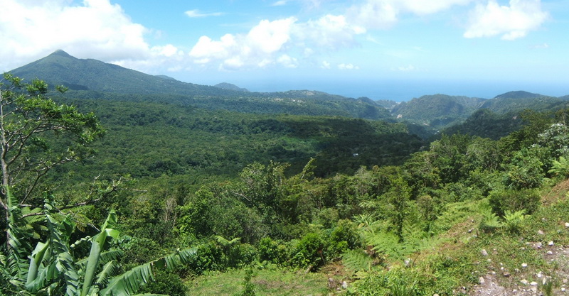 offshore-dominica-3