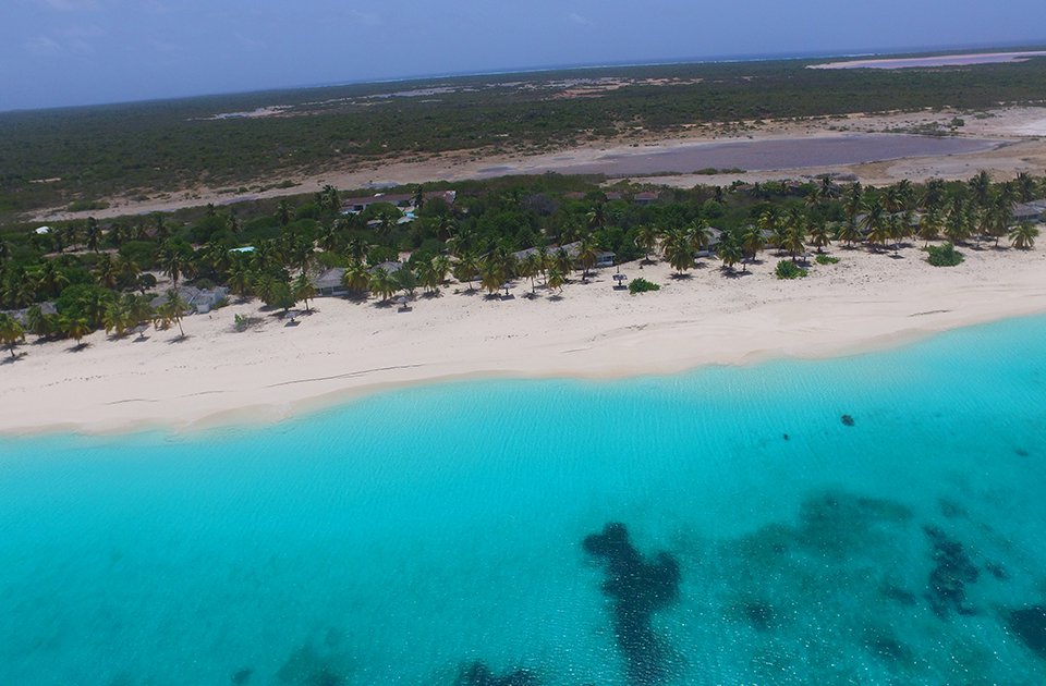 Caribbean