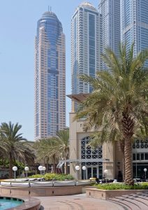 palm trees