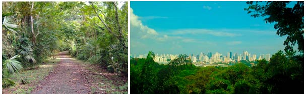 panama parki