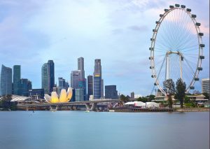 Singapore Flyer1