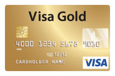 Visa Credit Card