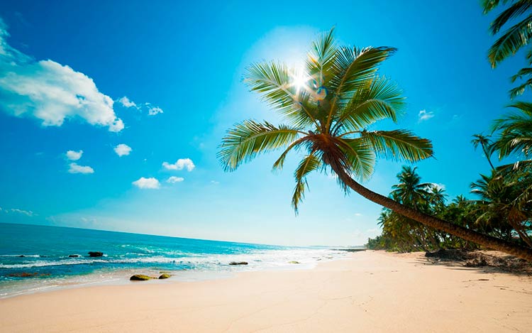 pasp Caribbean