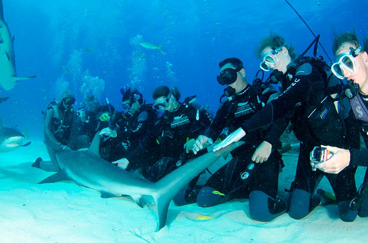 diving