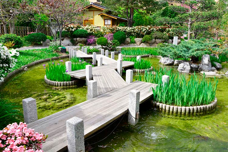Antoinette Park