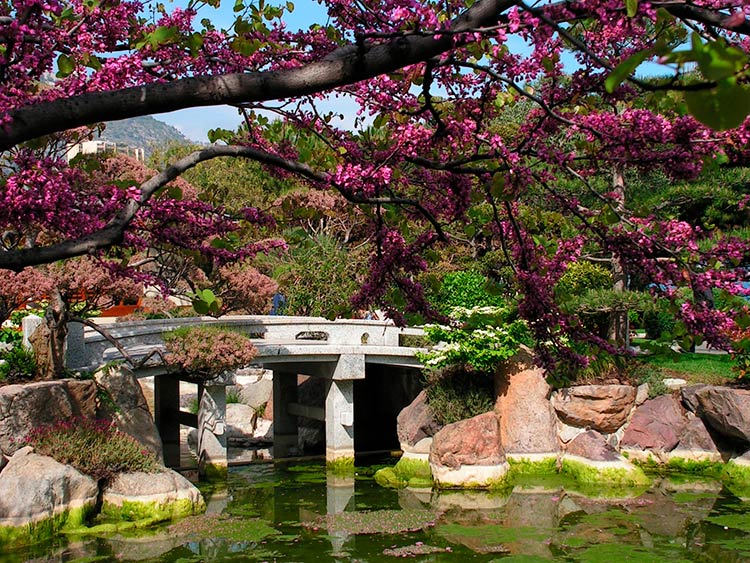 Garden.monaco