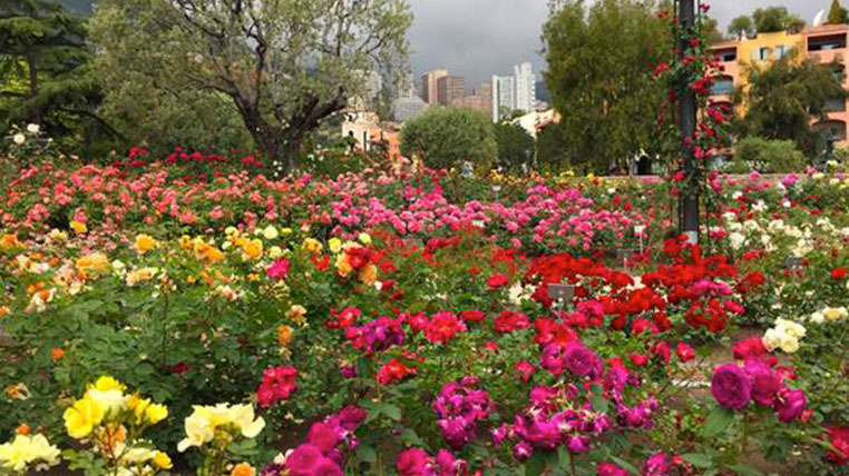 parks