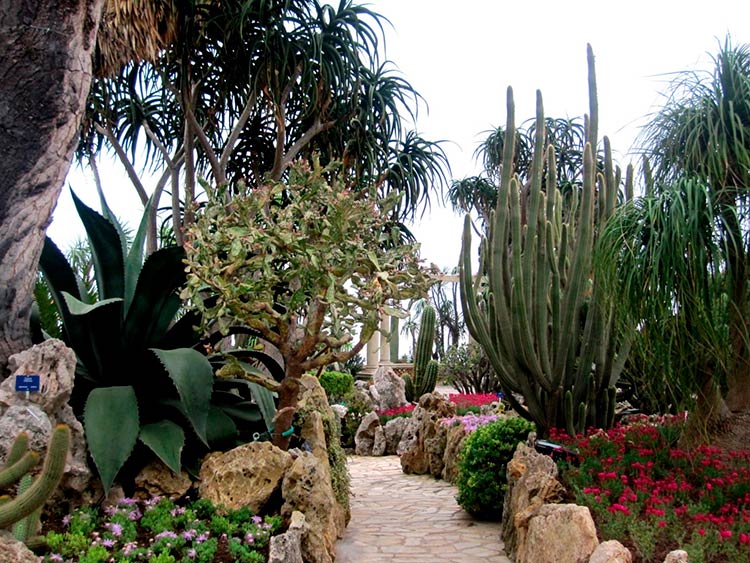 garden