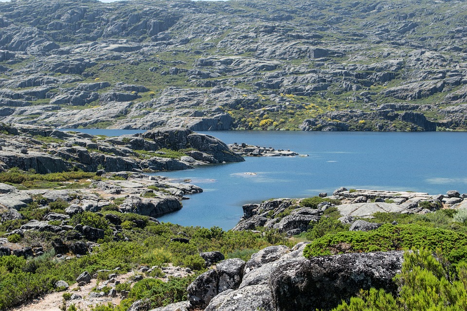 Estrela