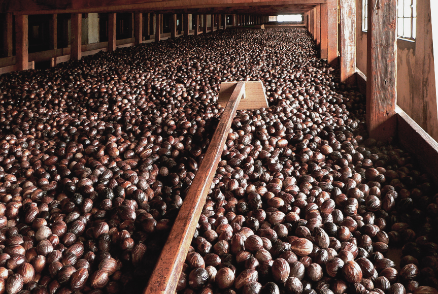 Gouyave Nutmeg Processing Station