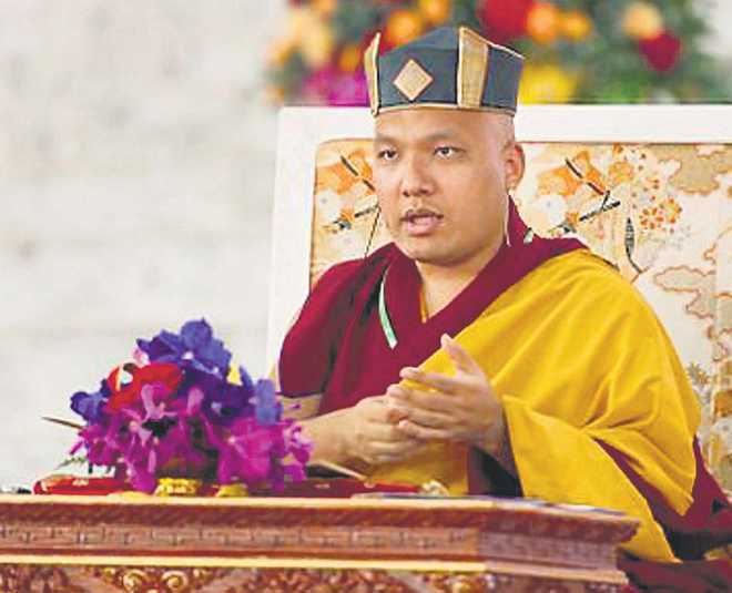 d lama
