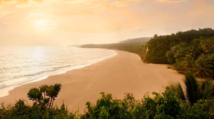 Caribbean