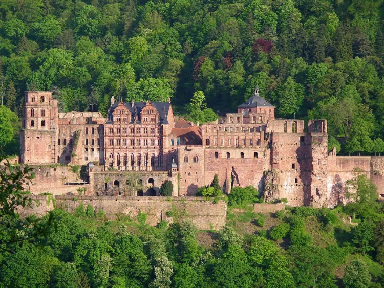 geidelberg cast