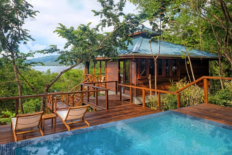 Plunge Pool