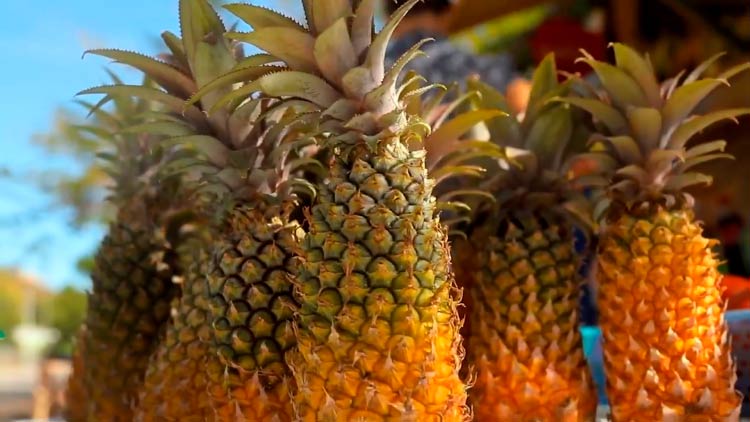 ananas