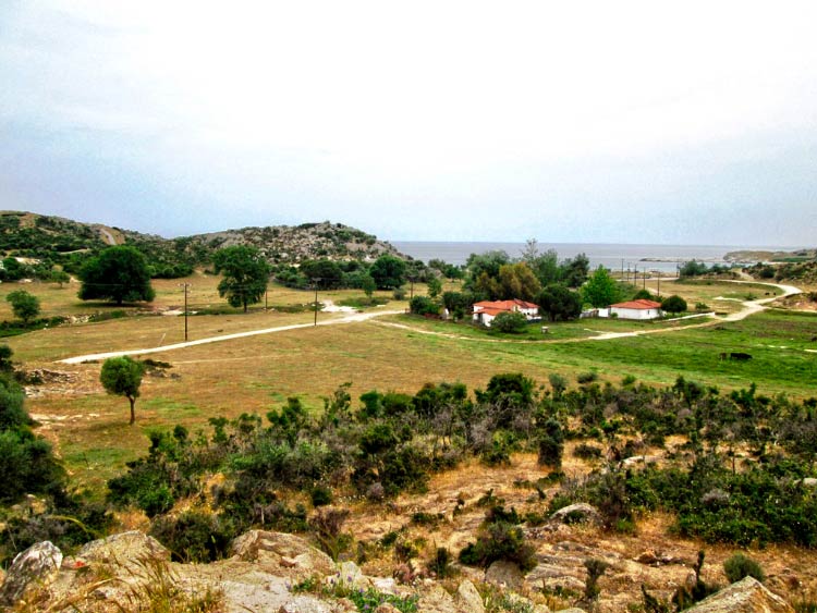 lriarici