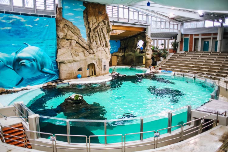 zoo daisb
