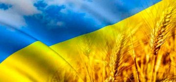 Регистрация представительства иностранной компании в Украине