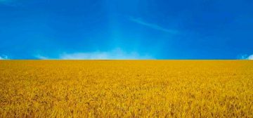 Финансовый анализ украинской компании