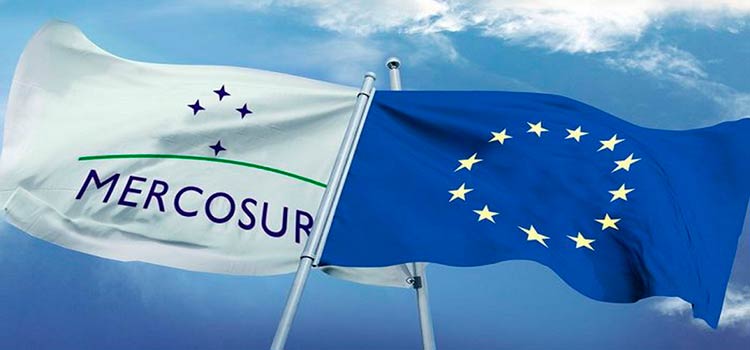 Соглашение ЕС – Mercosur 2019 года: бизнес в Южной Америке становится более эффективным