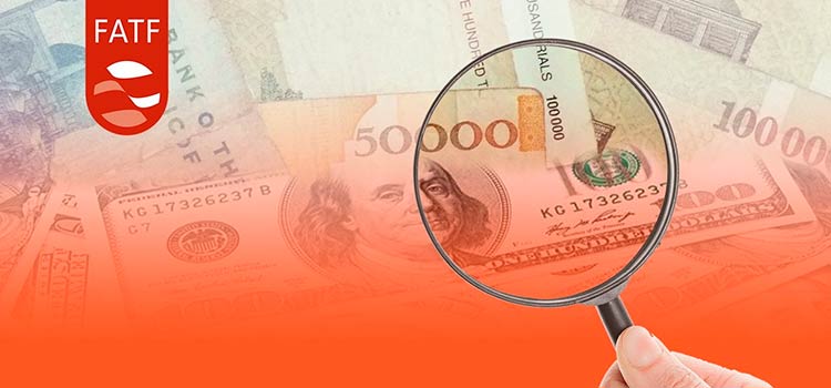ФАТФ – средство либерализации российского валютного контроля