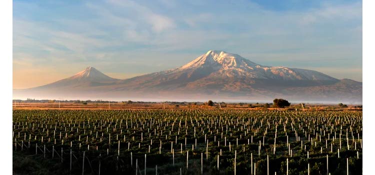 armen agro