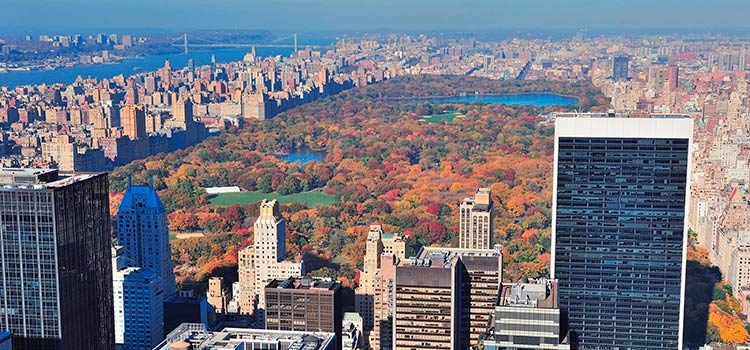 new York