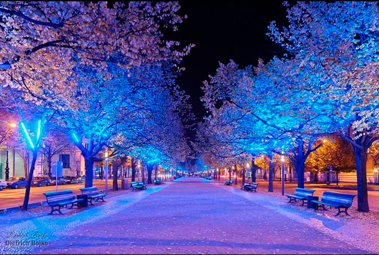 Unter den Linden