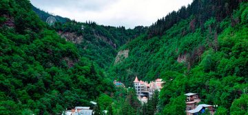 Полная юридическая поддержка и медиация между инвестором и правительством Грузии по проекту: участок земли для отельного комплекса в Боржоми