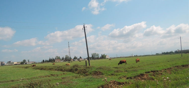 крупный участок земли в Кутаиси