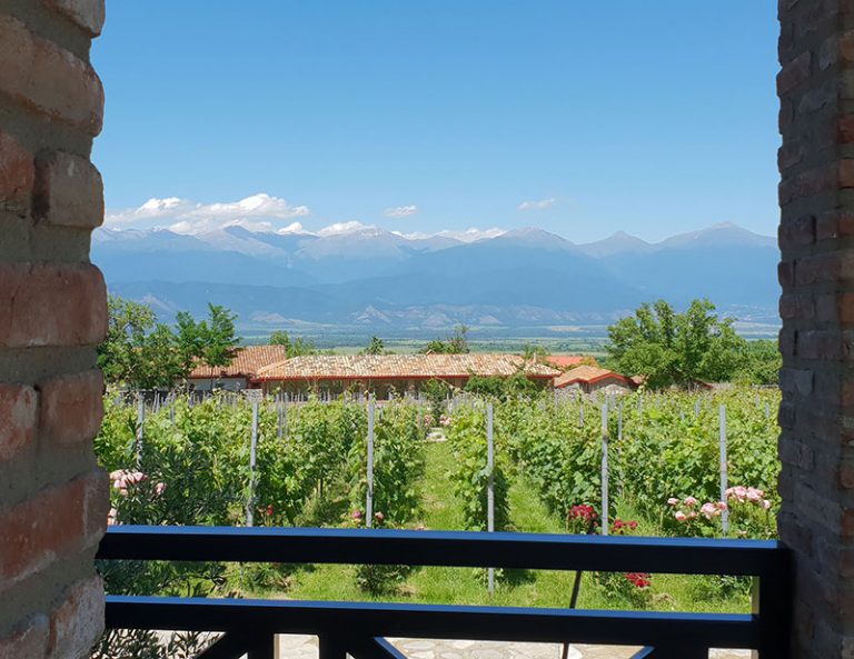 Schuchmann Wines Luxury Villas – эксклюзивное интервью об эксклюзивной недвижимости в Кахетии в Грузии