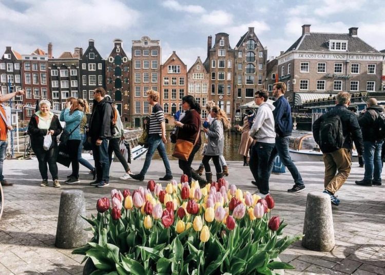 viza v nl
