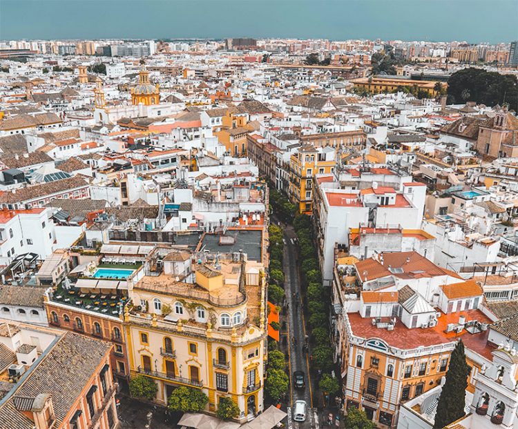 spain nedv