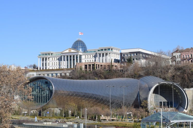 Компания в Грузии - Фото
