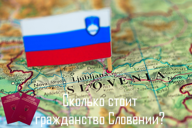 Сколько стоит гражданство Словении? Возможно, скоро узнаем!