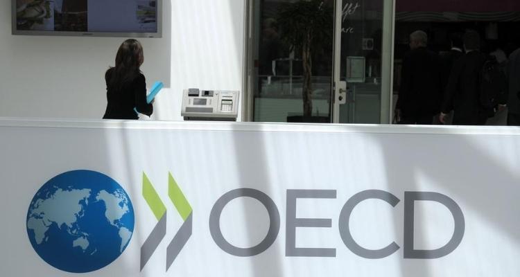 Данные ОЭСР по миграционным процессам: откуда в ОЭСР приезжают высококвалифицированные мигранты. Статистика и тенденции