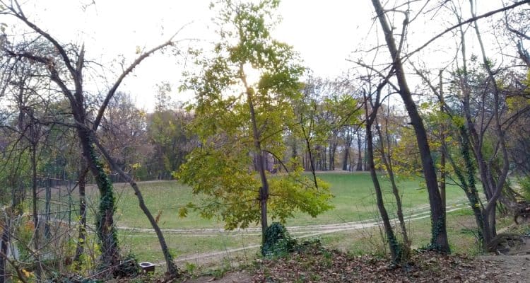 Вождовац