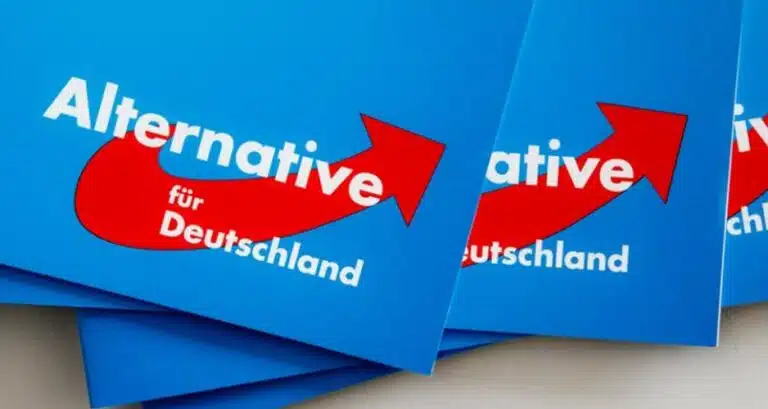 Что означает усиление партии AfD для иммигрантов в Германии?