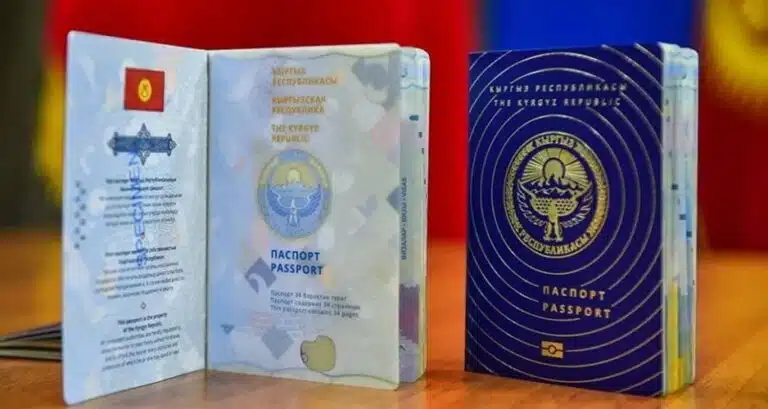 Инсайдеры: Кыргызстан приостановил прием заявлений на гражданство от россиян
